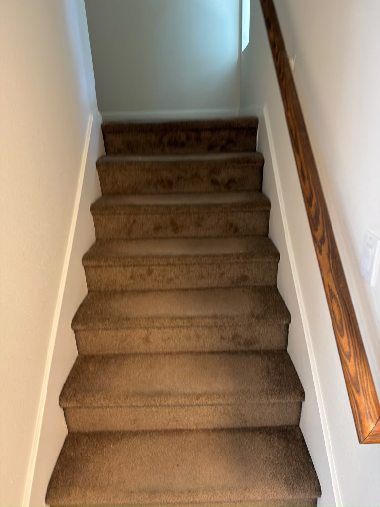 Pasadena stairs with the old carpet, before the new flooring