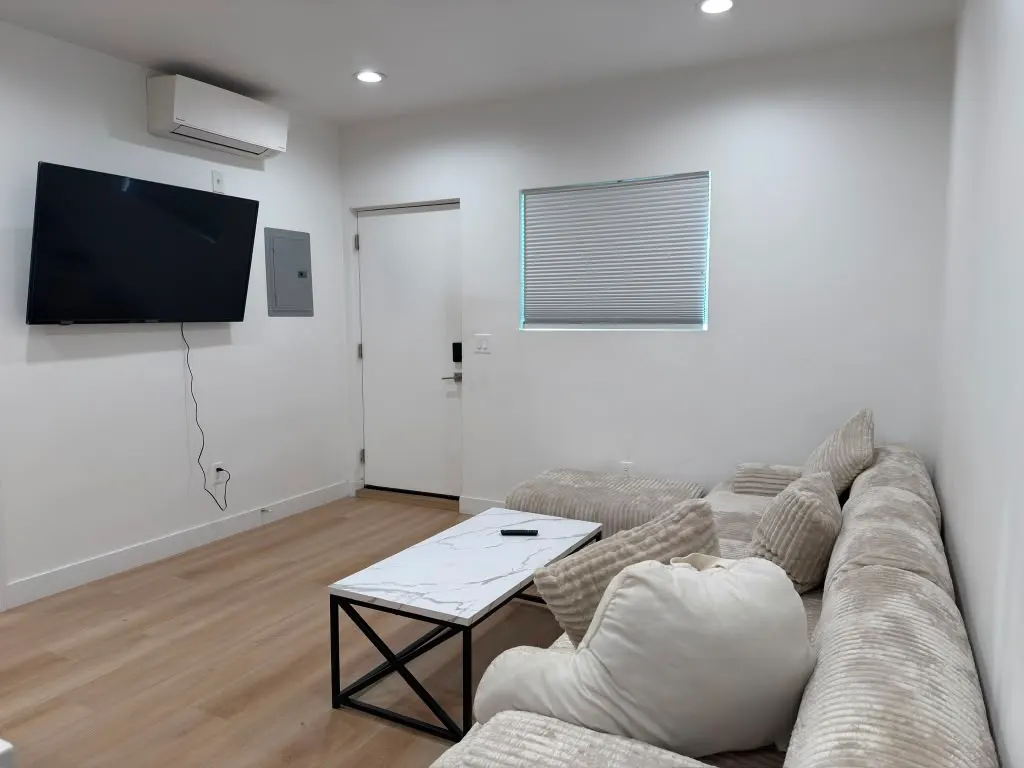 ADU living room with a ductless mini-split